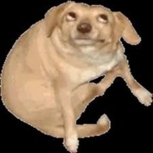 Meet your Posher, Richard